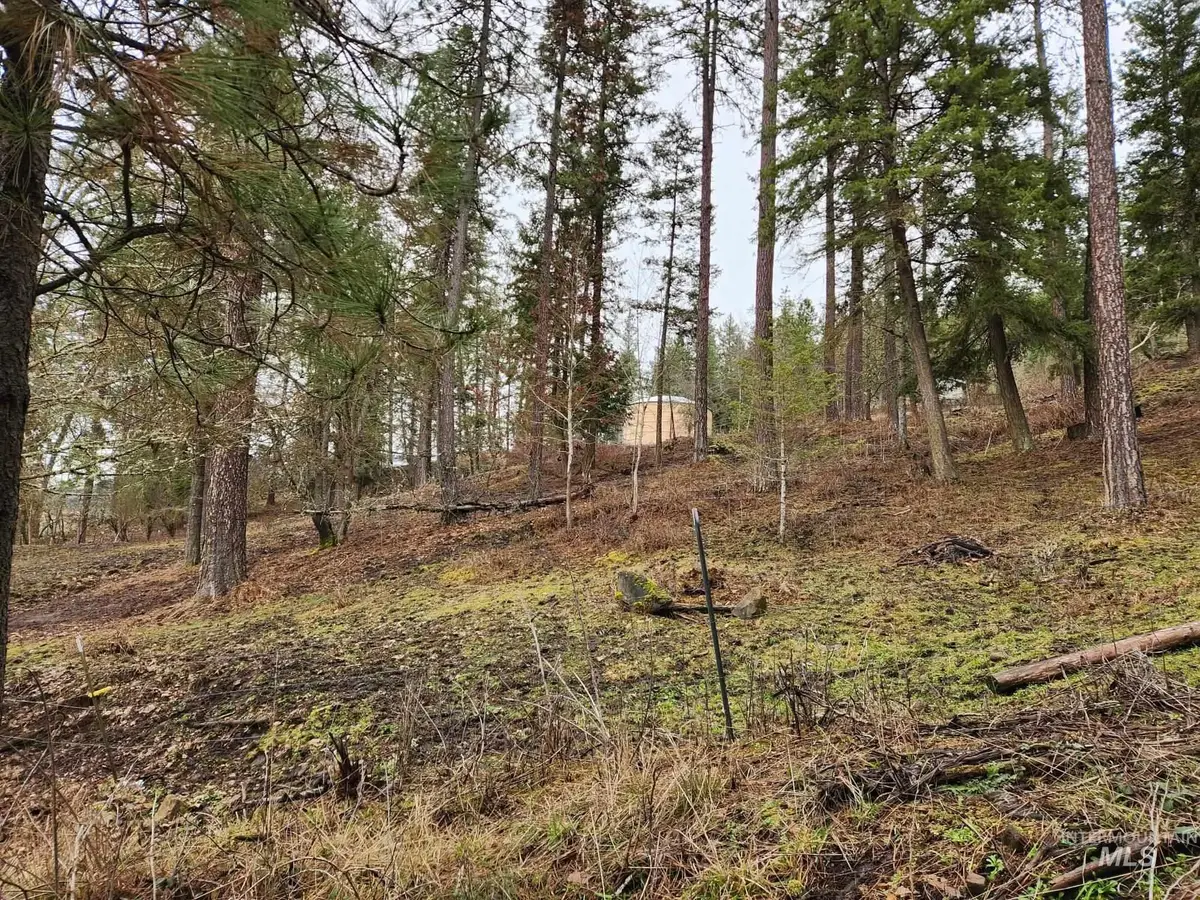 TBD Elwood St Parcel A, Peck, ID 83545 - Image #1