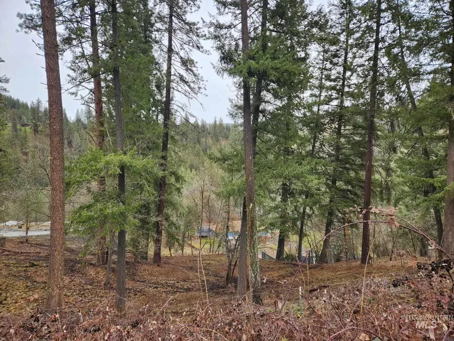 TBD Elwood St Parcel A, Peck, ID 83545 - Image #2