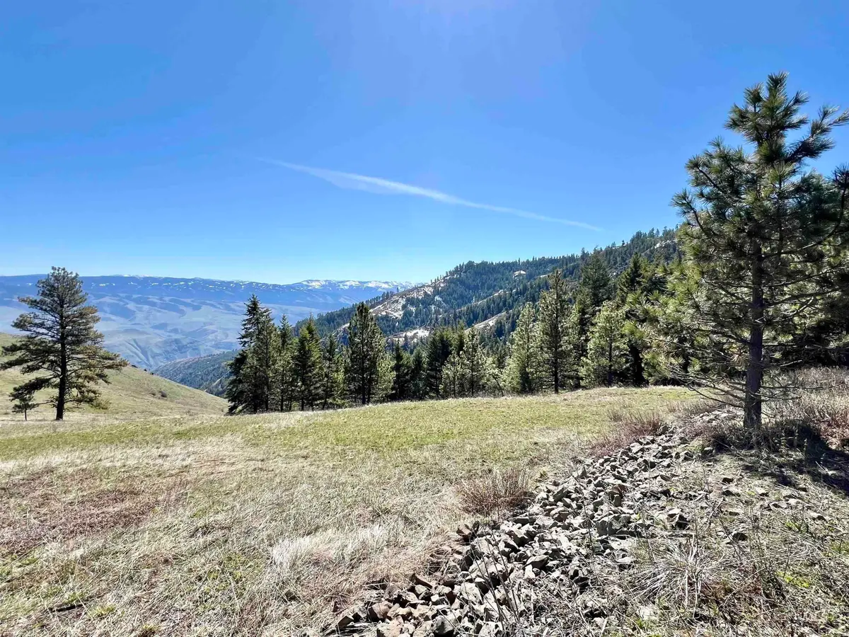 TBD Lot 50 Twin River Ranch Iii, White Bird, ID 83554 - Image #1
