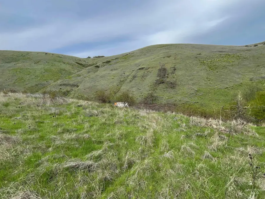 TBD Starthistle Lane, Lenore, ID 83541 - Image #2