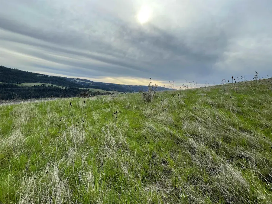 TBD Starthistle Lane, Lenore, ID 83541 - Image #3