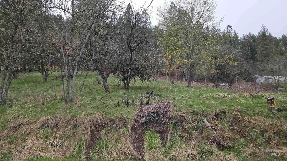 TBD Pine St Blk 56, Lot 1, Peck, ID 83545 - Image #1