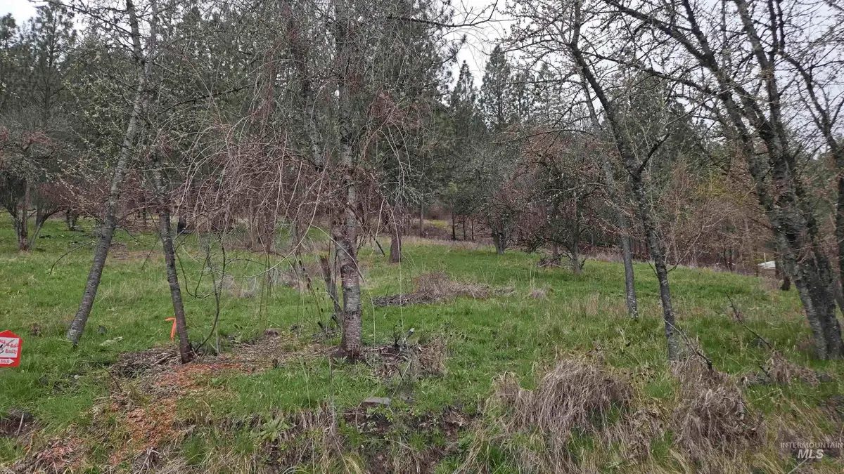 TBD Pine St Blk 56, Lot 2, Peck, ID 83545 - Image #1