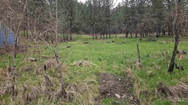 TBD Pine St Blk 56, Lot 5, Peck, ID 83545