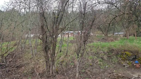 TBD Pine St Blk 43, Lot 1, Peck, ID 83545