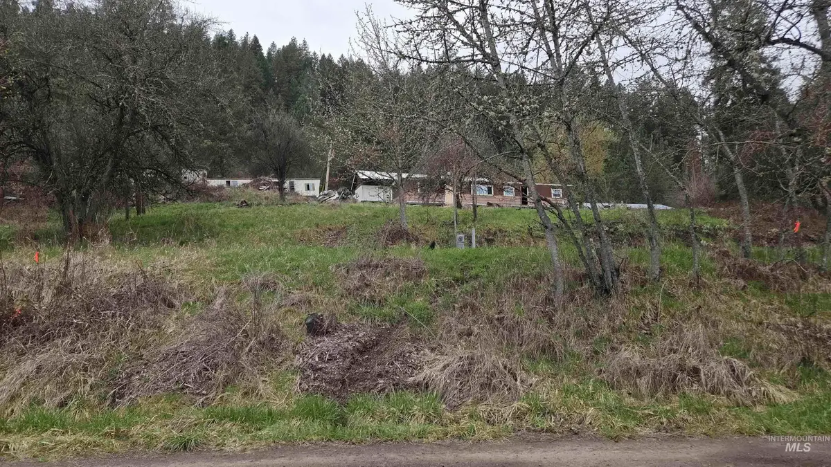 TBD Pine St Blk 43, Lot 2, Peck, ID 83545 - Image #1