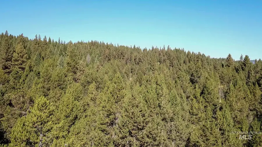 TBD 1-3 Horsethief Rd., Cascade, ID 83611 - Image #3