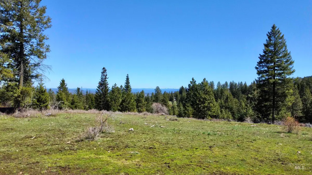 TBD 2138 P 4 Old White Bird Hill Rd, Grangeville, ID 83530 - Image #1