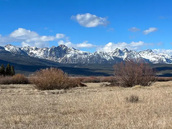 TBD Fisher Creek Loop, Stanley, ID 83278