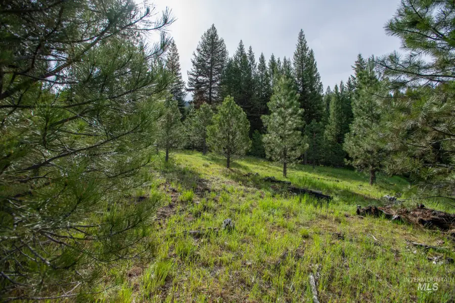 TBD 42 Clear Creek Road, Cascade, ID 83611 - Image #2
