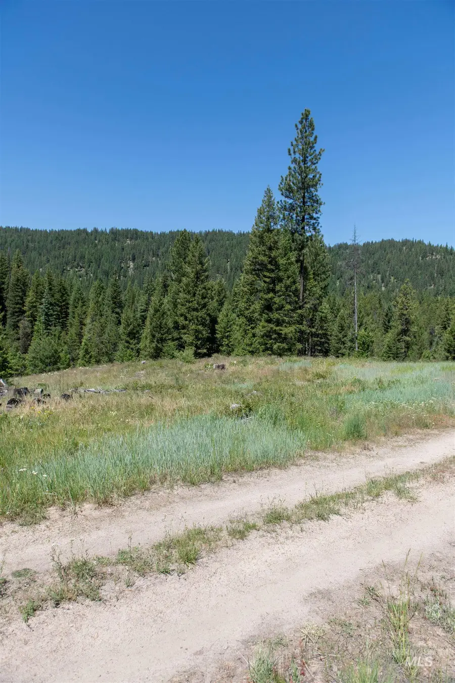 TBD 33 Clear Creek Road, Cascade, ID 83611 - Image #3