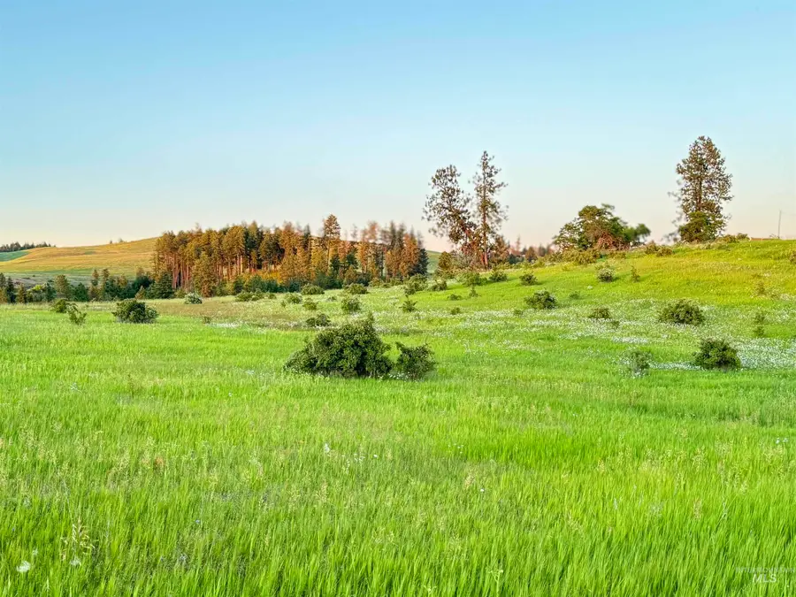 TBD Beaverslide Rd, Kamiah, ID 83536 - Image #2