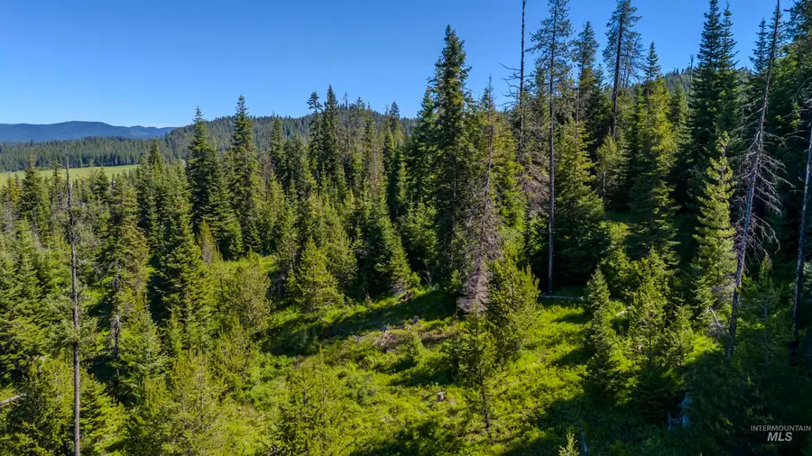 000 Sanderson, Bovill, ID 83806 - Image #3