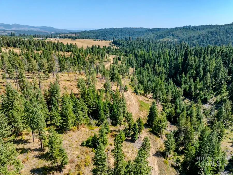 Starview Lane Parcel 1, Princeton, ID 83857 - Image #2