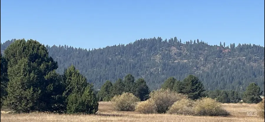 100 Herrick Lane, Cascade, ID 83611 - #3