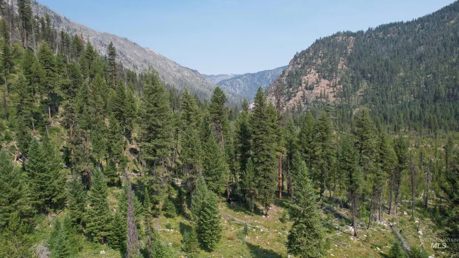 TBD Johnson Creek Road, Yellow Pine, ID 83677 - Image #2