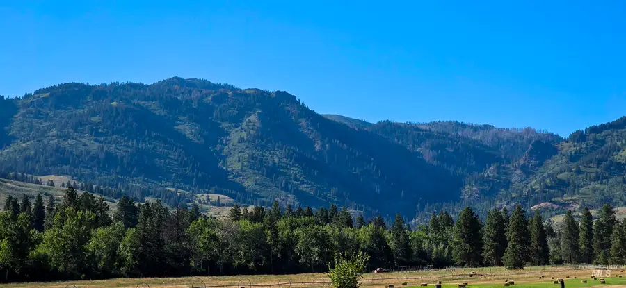 3496 Ward Rd, Cambridge, ID 83610 - Image #2