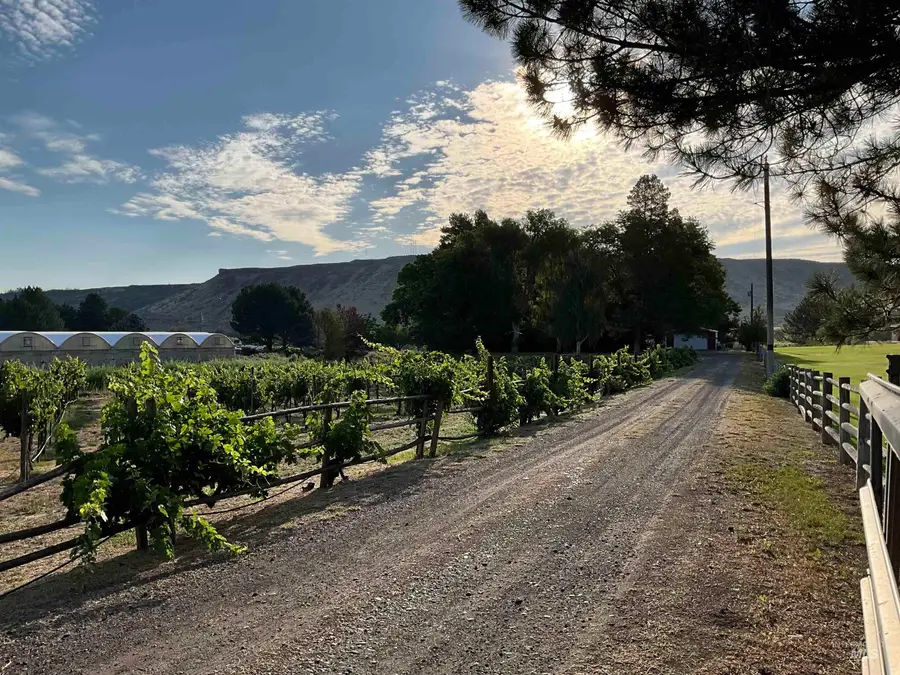 4778 River Road, Buhl, ID 83316 - Image #3