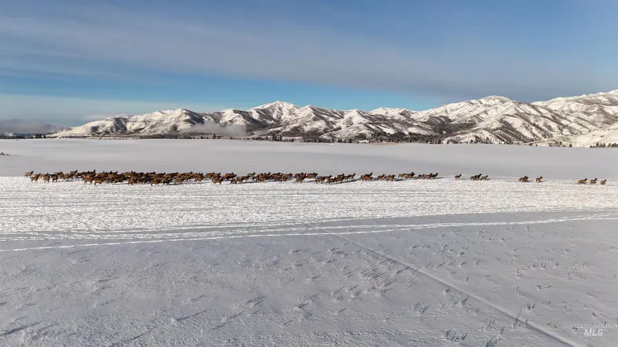 Ne Little Camas Reservoir Road, Mountain Home, ID 83647 - Image #2