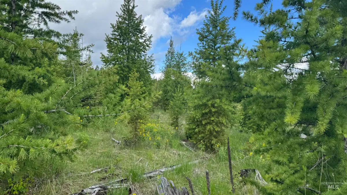 TBD Upper Fords Creek, Orofino, ID 83544 - Image #1