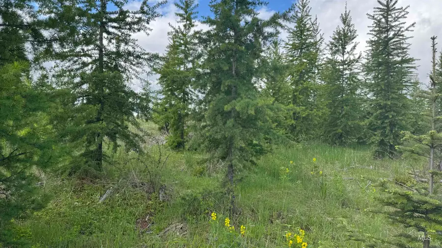 TBD Upper Fords Creek, Orofino, ID 83544 - Image #3