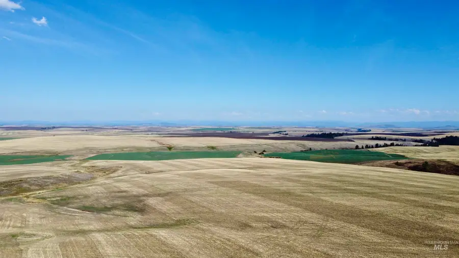 TBD Westlake Rd (80ac), Craigmont, ID 83523 - Image #2