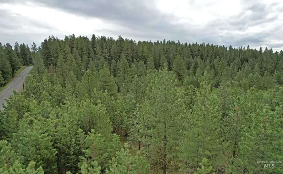 TBD 2 Elo Road, McCall, ID 83638 - Image #3