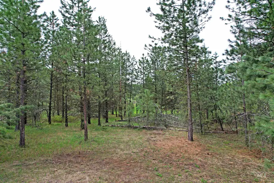 TBD 5 Elo Road, McCall, ID 83638 - Image #3