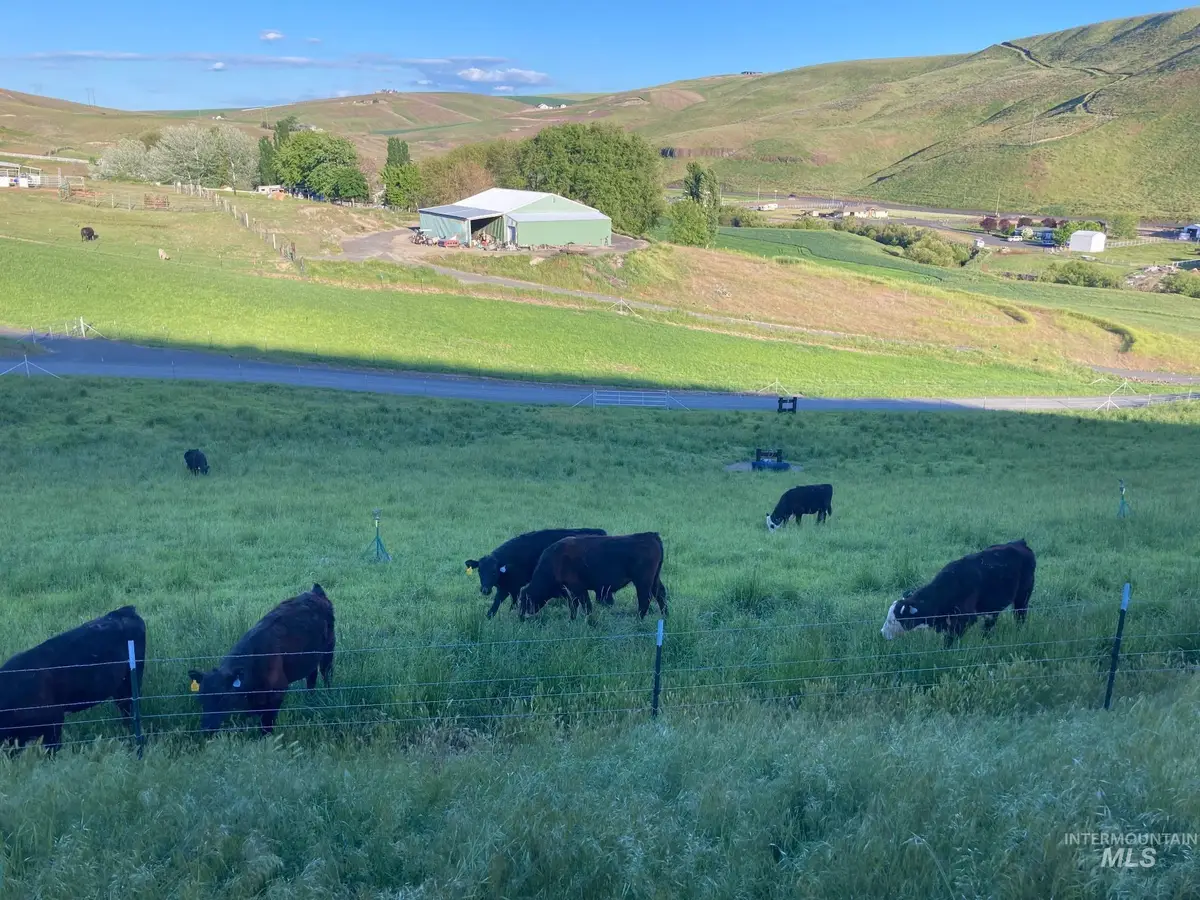 Lot 10 Cactus Lane, Lewiston, ID 83501 - #1