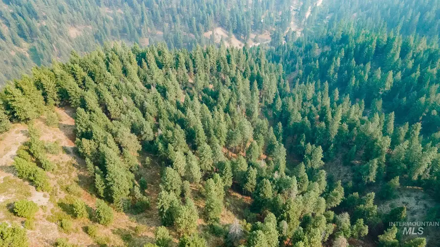 Tract B Valley Of The Pines Subdivision, Boise, ID 83716 - Image #3