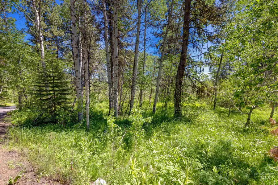 1125 Meadows Rd, McCall, ID 83638 - Image #2