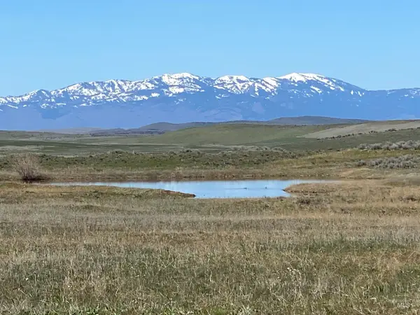 TBD Indian Valley Rd Parcel 5, Indian Valley, ID 83632