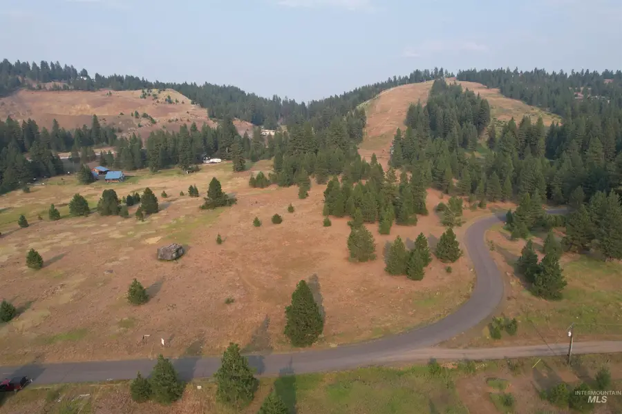 TBD Lot 15 Whitefield Lane, McCall, ID 83638 - Image #3
