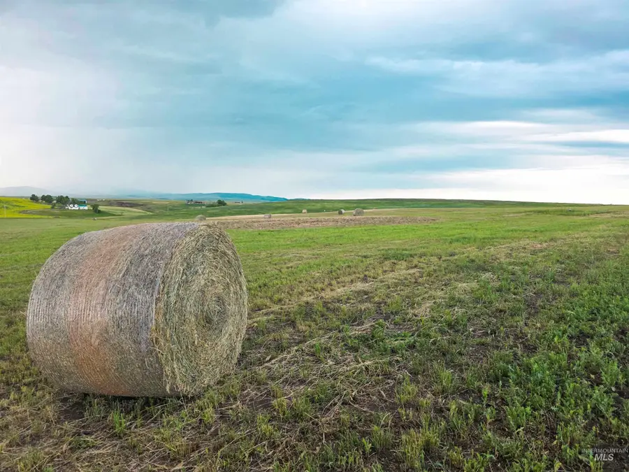 134 Creek View Lane, Grangeville, ID 83530 - Image #2