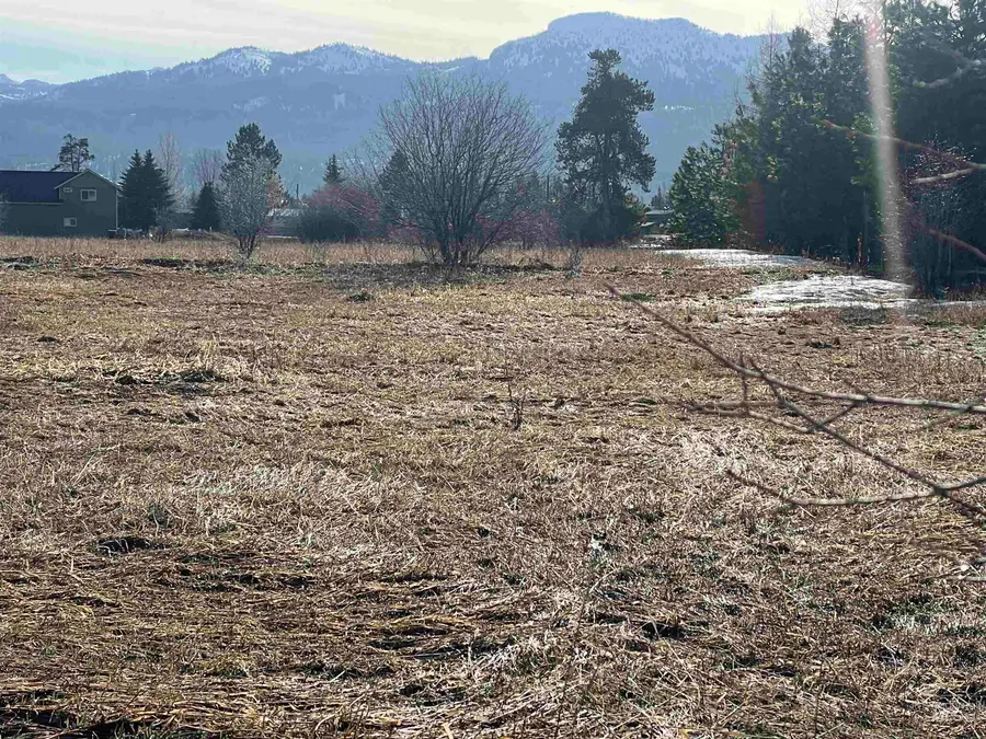 13958 Turner Rd, McCall, ID 83638 - Image #3