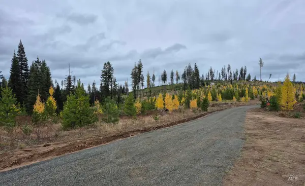 TBD French Gulch Rd Parcel 2 & 3, Elk City, ID 83525