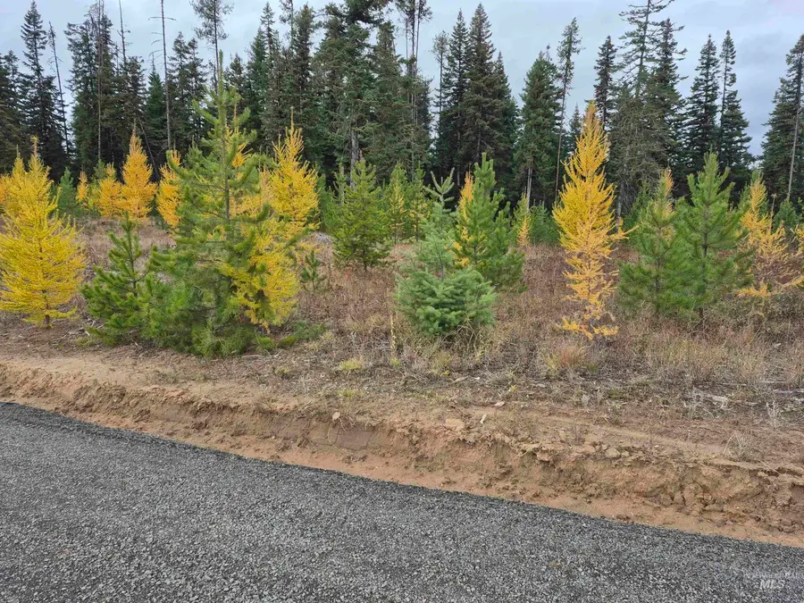 TBD French Gulch Rd Parcel 2 & 3, Elk City, ID 83525 - Image #2