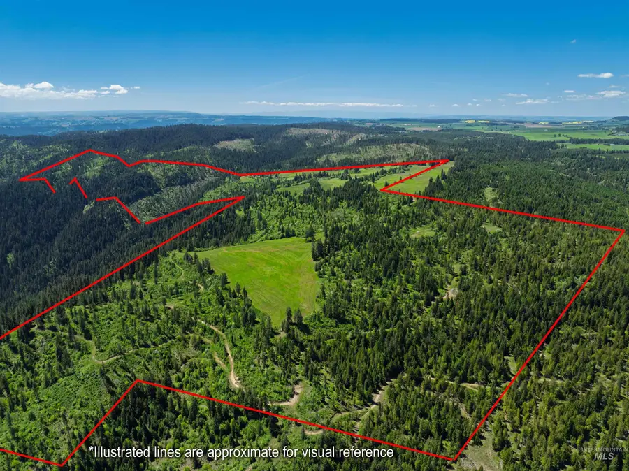NKA 618acs Freeman Creek Rd, Lenore, ID 83541 - #3