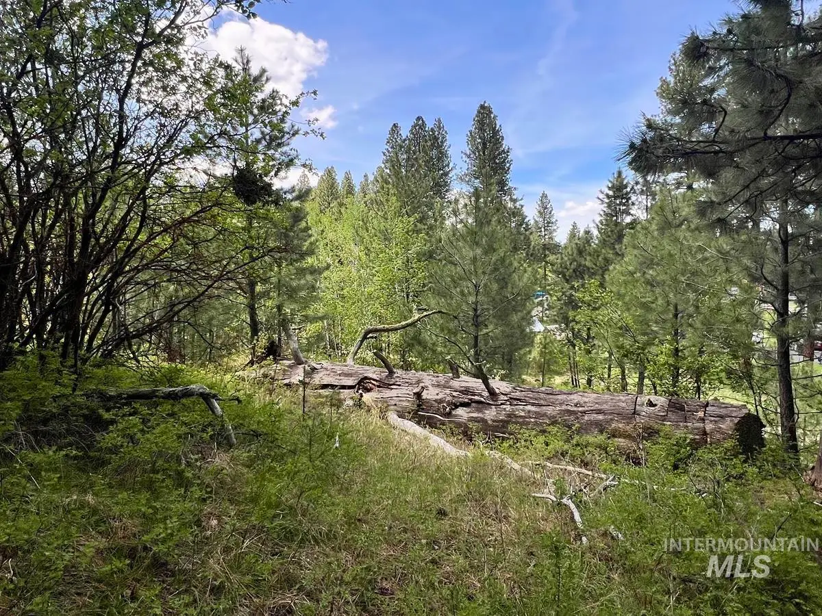 T75 LI Cabarton Road, Cascade, ID 83611 - Image #1