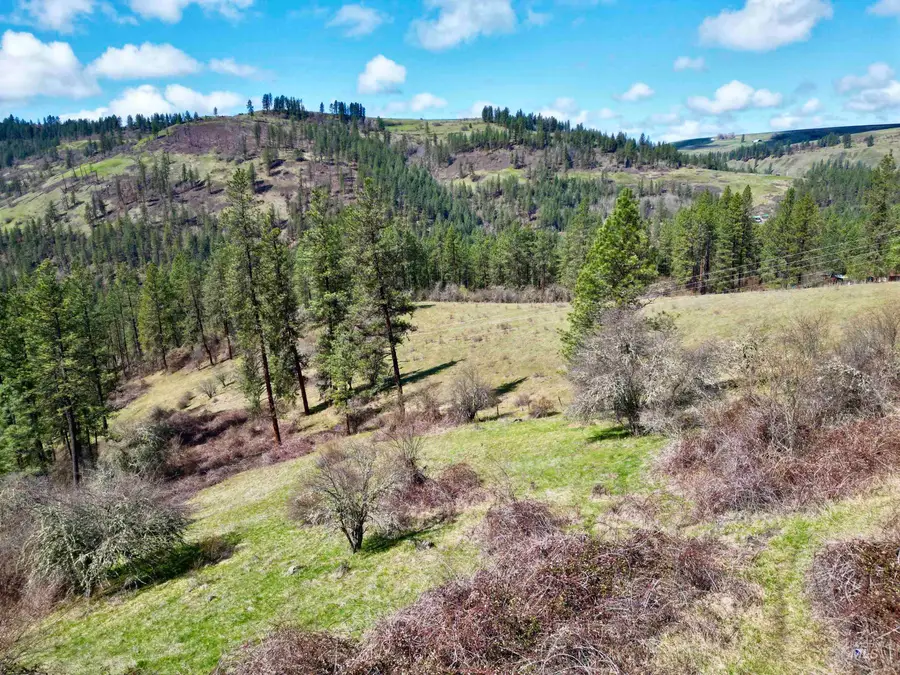 121 Ferguson Road, Harpster, ID 83553 - Image #2