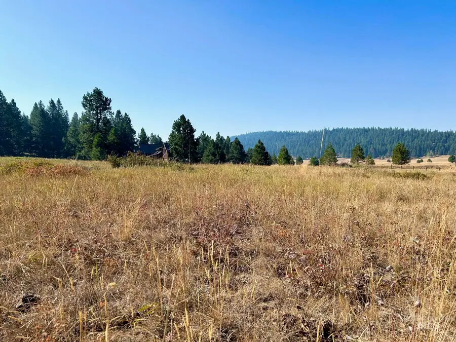 Lot 17 Whitefield Lane, McCall, ID 83638 - #3