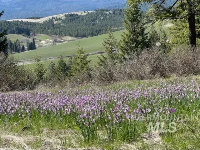 000 Spring Valley Rd., Troy, ID 83871 - Image #1