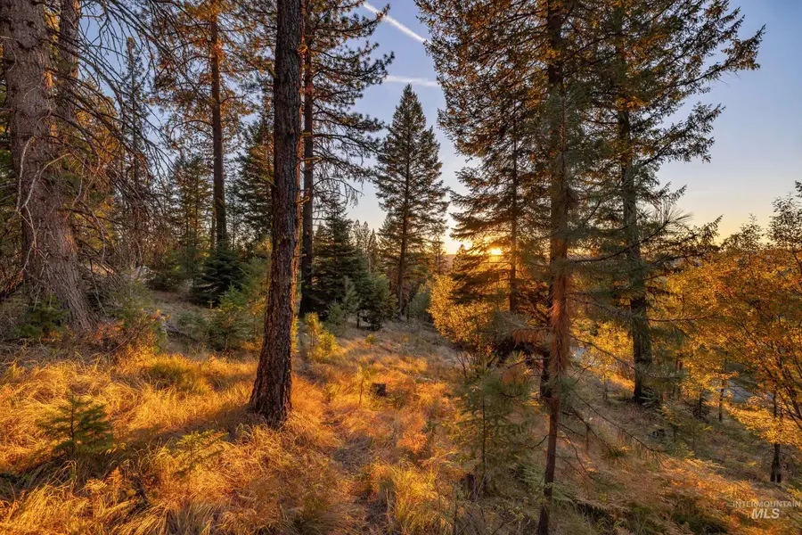 1670 Majestic View Dr., McCall, ID 83638 - Image #3