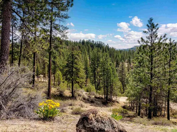 LOT 16 Napias Sub, Boise, ID 83716