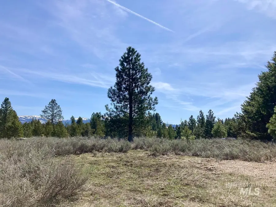 269 Moon Drive, McCall, ID 83638 - Image #3