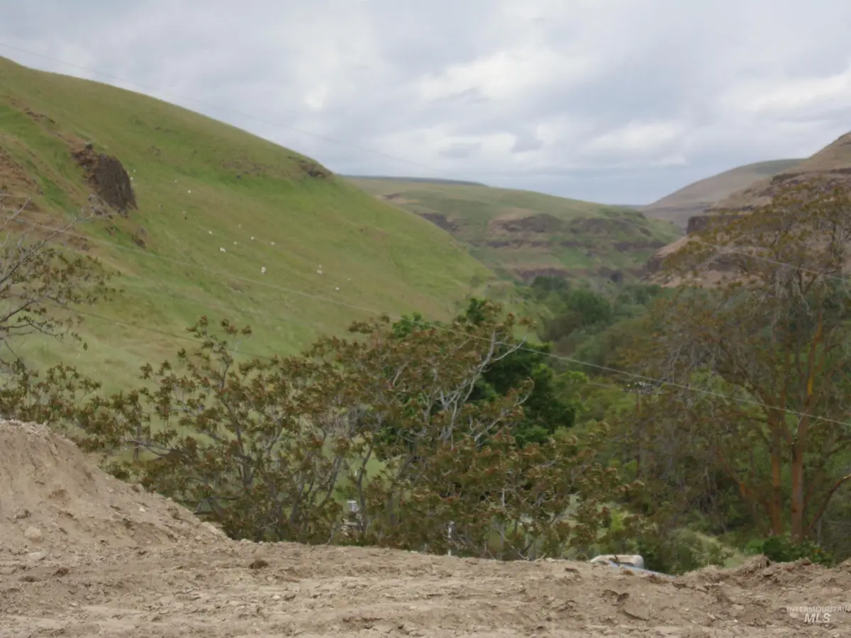 249 Snyder Lane, Asotin, WA 99402 - Image #1