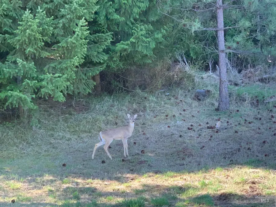 134 Shenandoah First Street, Kamiah, ID 83536 - Image #2