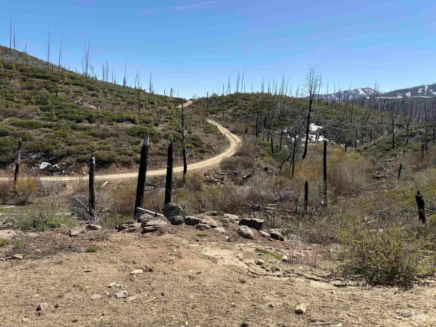 TBD Lester Creek Rd, Mountain Home, ID 83647 - Image #3