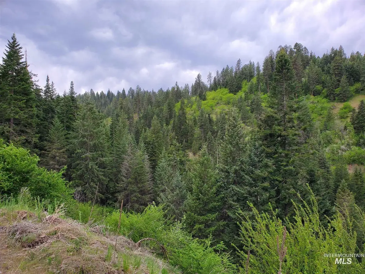 TBD Clearwater Rd, Stites, ID 83552 - Image #1