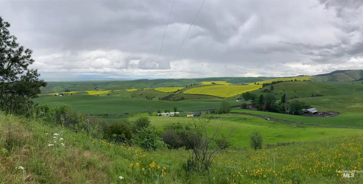 NKA Raven Dr., Culdesac, ID 83524 - #1